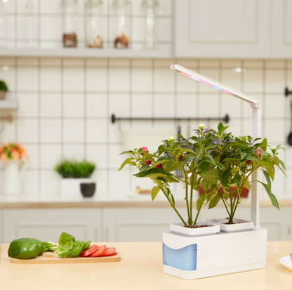 Multifunctional Intelligent Plant Growth Light Maroon Asteria