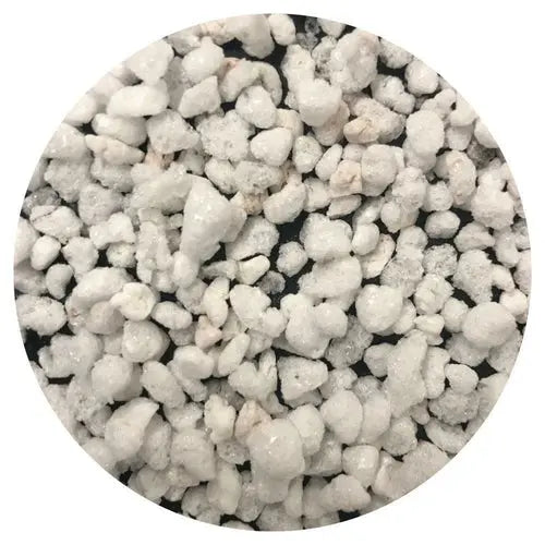 20L Perlite Coarse Premium Soil Expanded Medium Plants Hydroponics Ozdingo