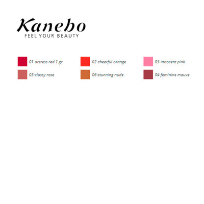 Lip Liner Colours Kanebo Bigbuy