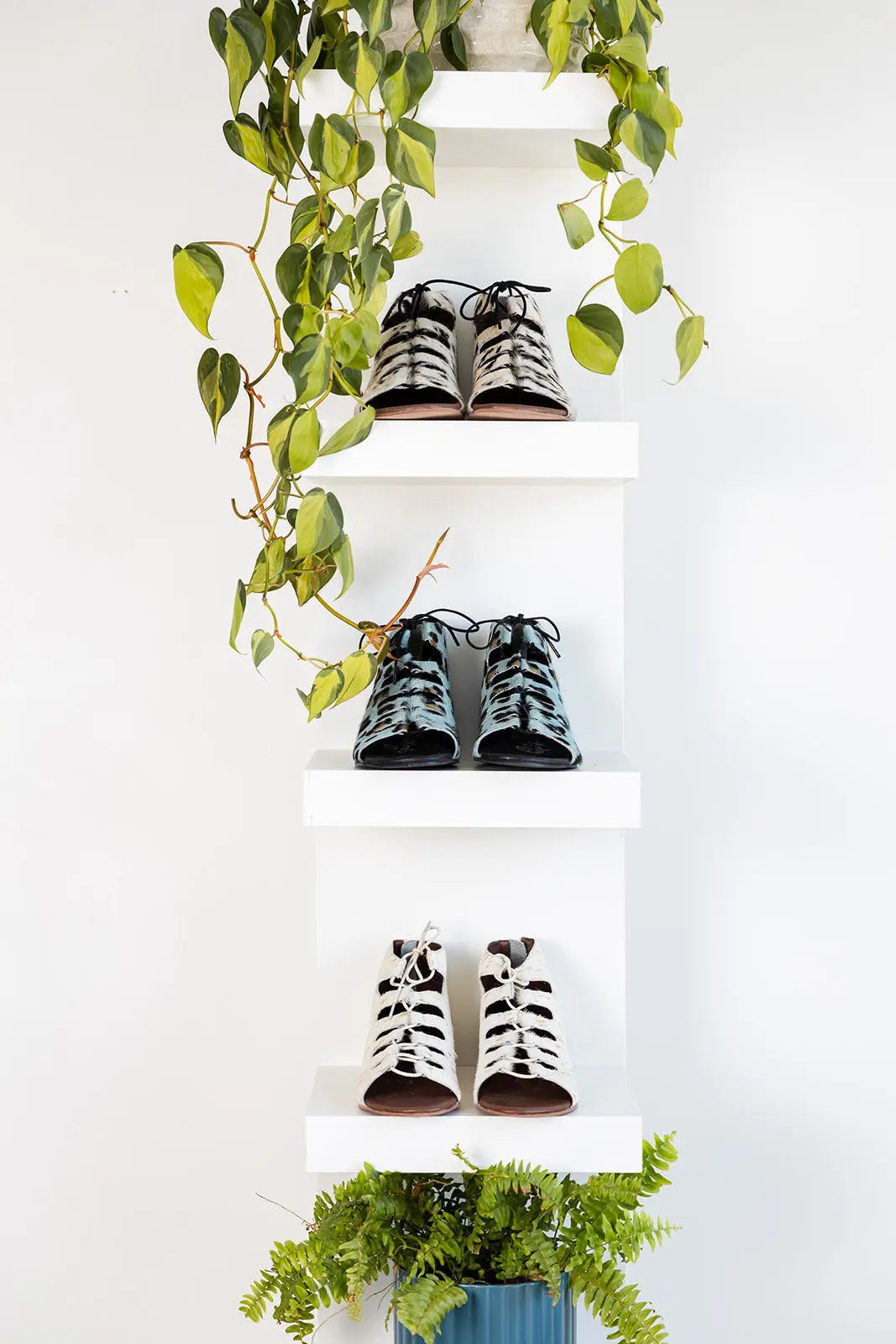 Black and white Nola Sandals with lace-up front, gladiator style, and back zip displayed on shelves.