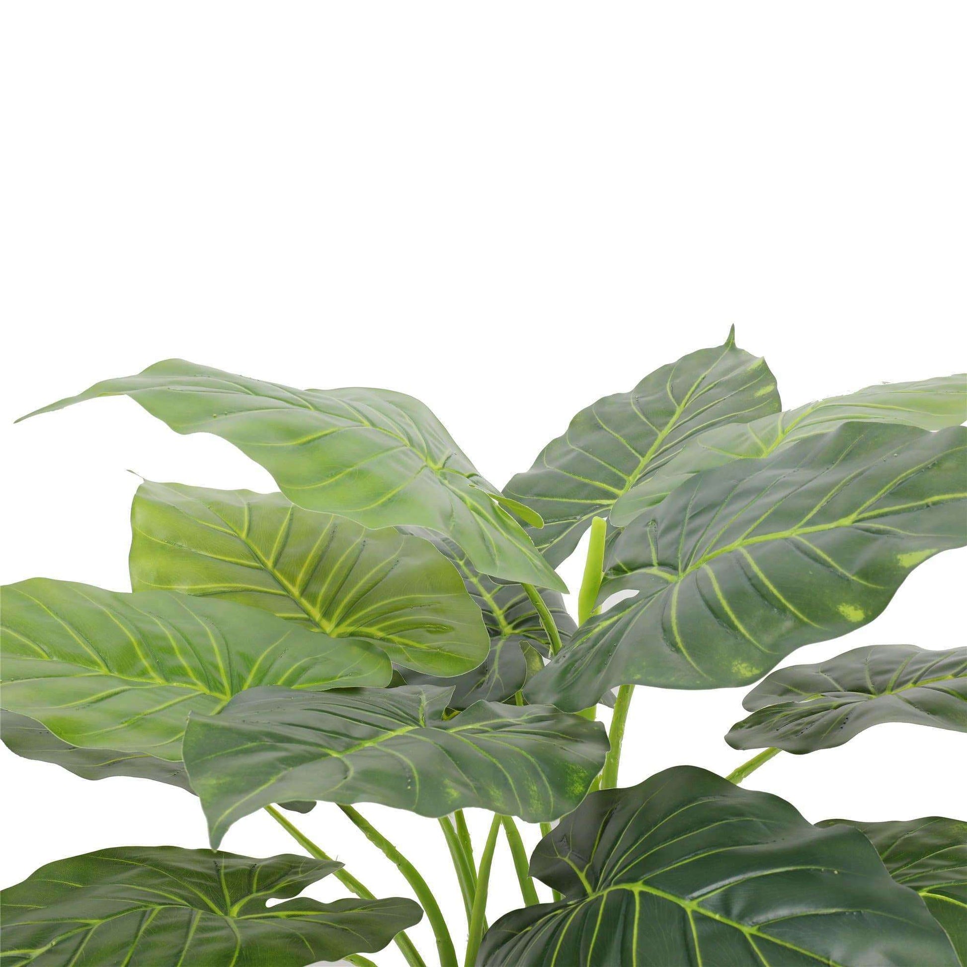 Artificial Potted Taro Plant / Elephant Ear 70cm Lemon Artemis