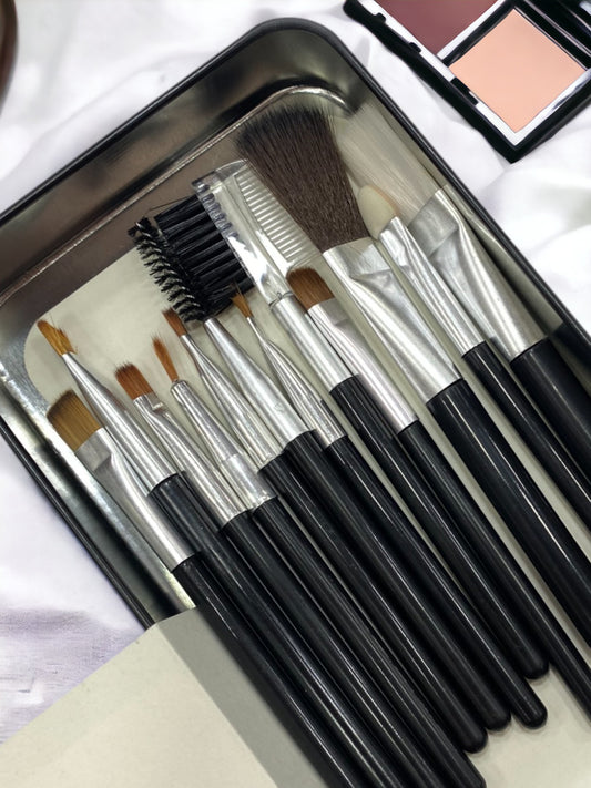 Professional Makeup brush set pack of 12 pcs brushes Gray Poseidon