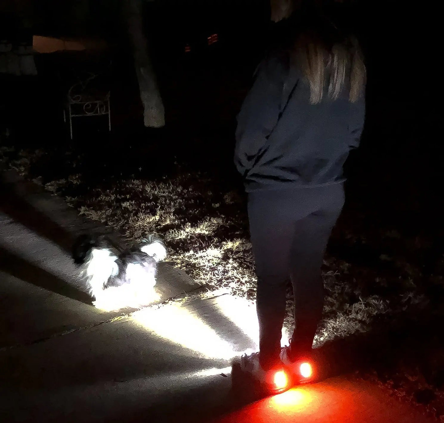 Woman walking dog at night wearing Women's Night Runner Shoes with built-in safety lights.