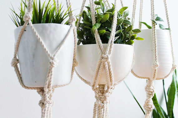 Macrame Plant Hanger, Hanging Planter, Indoor, Silver Simba