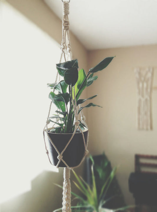 Macrame Plant Hanger, Hanging Planter,  Modern Silver Simba