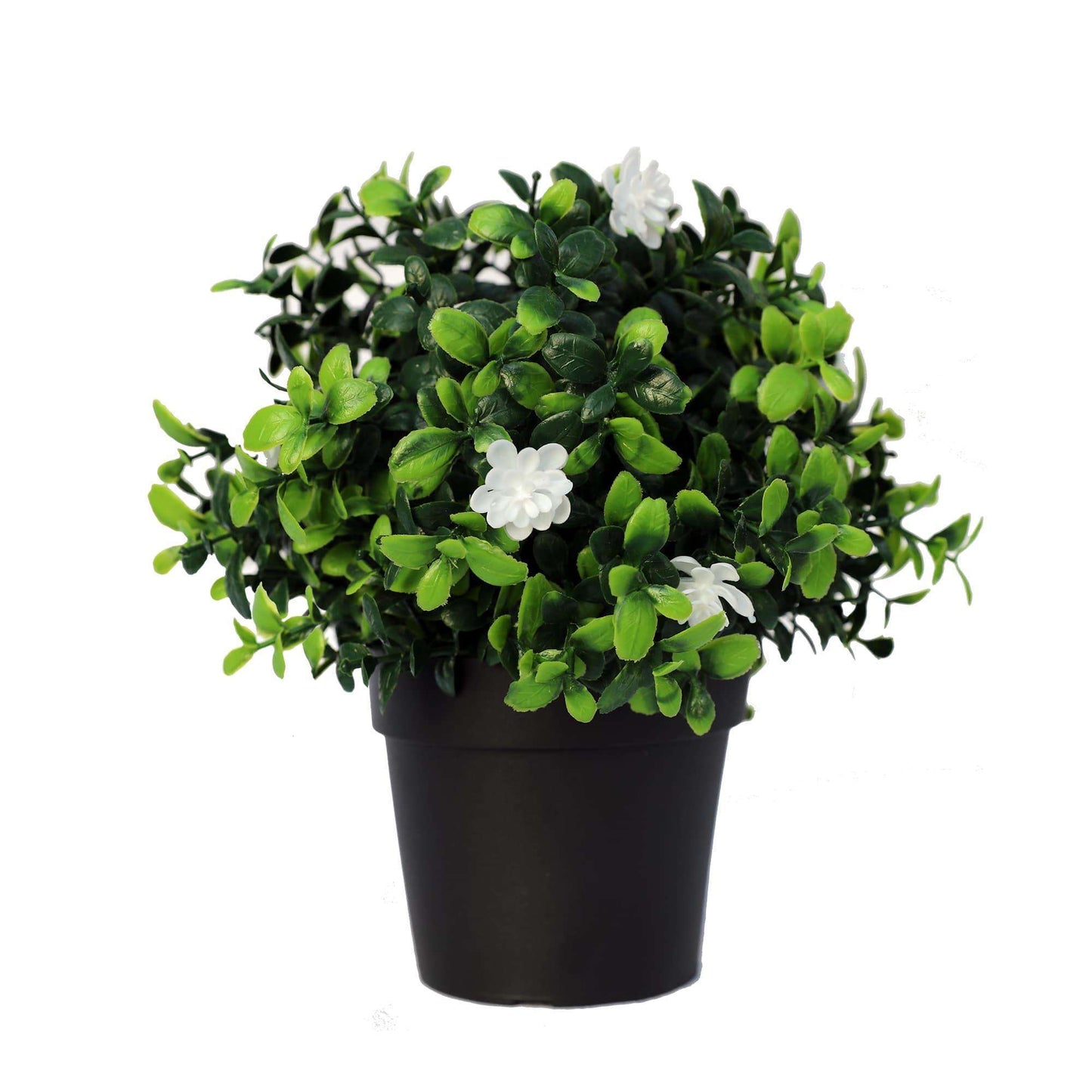 Small Potted Artificial Flowering Boxwood Plant UV Resistant 20cm Lemon Artemis