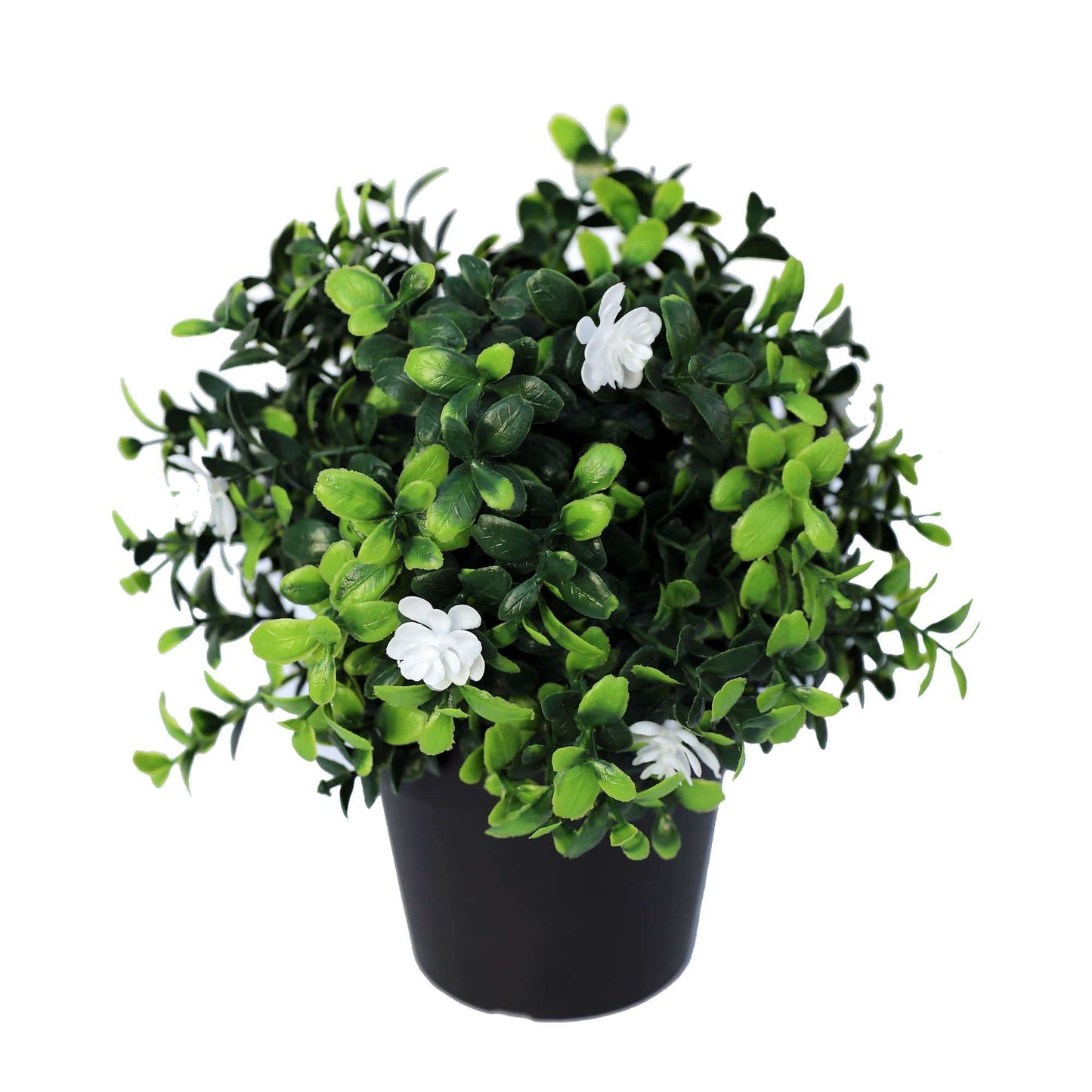 Small Potted Artificial Flowering Boxwood Plant UV Resistant 20cm Lemon Artemis